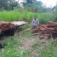 ABT INTENSIFICA CONTROLES EN SANTA CRUZ PARA COMBATIR TRANSPORTE ILEGAL DE PRODUCTOS FORESTALES